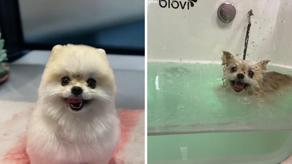 Łódź. Nowosolnej jakiej nie znasz!