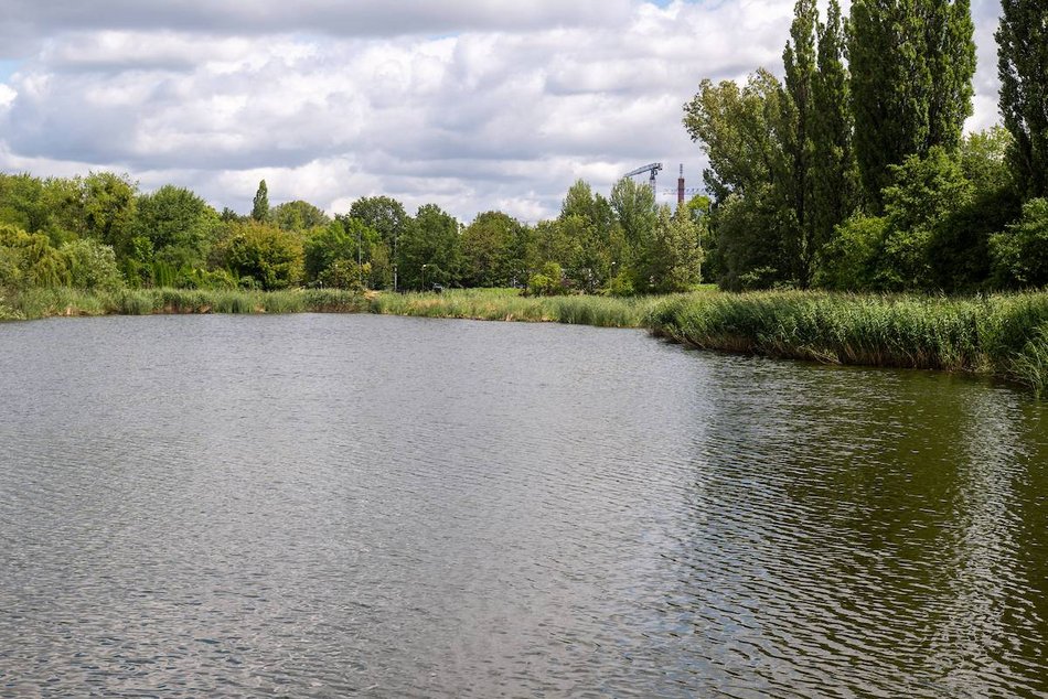 Łódź. Rewolucja nad Jasieniem w Łodzi. Powstaną plaża, plac zabaw, trasa biegowa i więcej