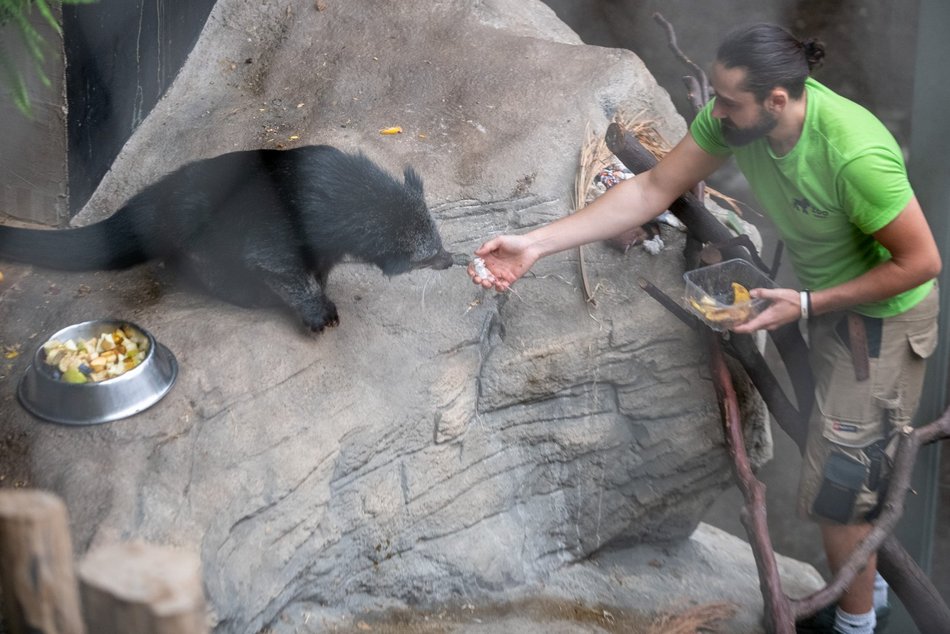 фото Paweł Łacheta