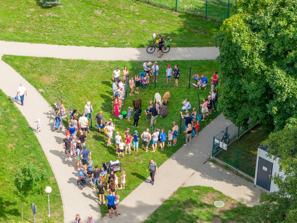 Piknik rodzinny na Stawach Jana