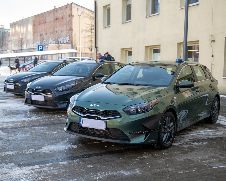 Dwa psy służbowe zasiliły szeregi Komendy Miejskiej Policji w Łodzi