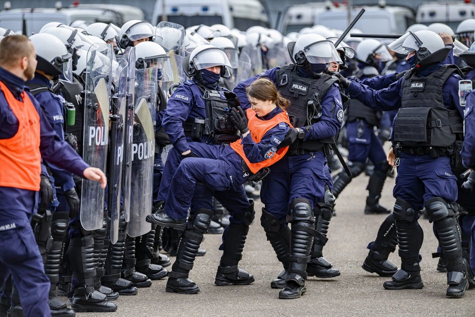 Łódź. Zwierzęta Straży Miejskiej na szkoleniu