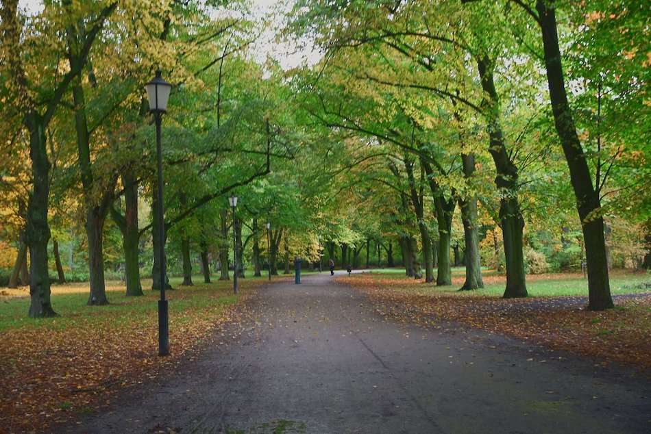 Łódź. Jesienne kadry z parków