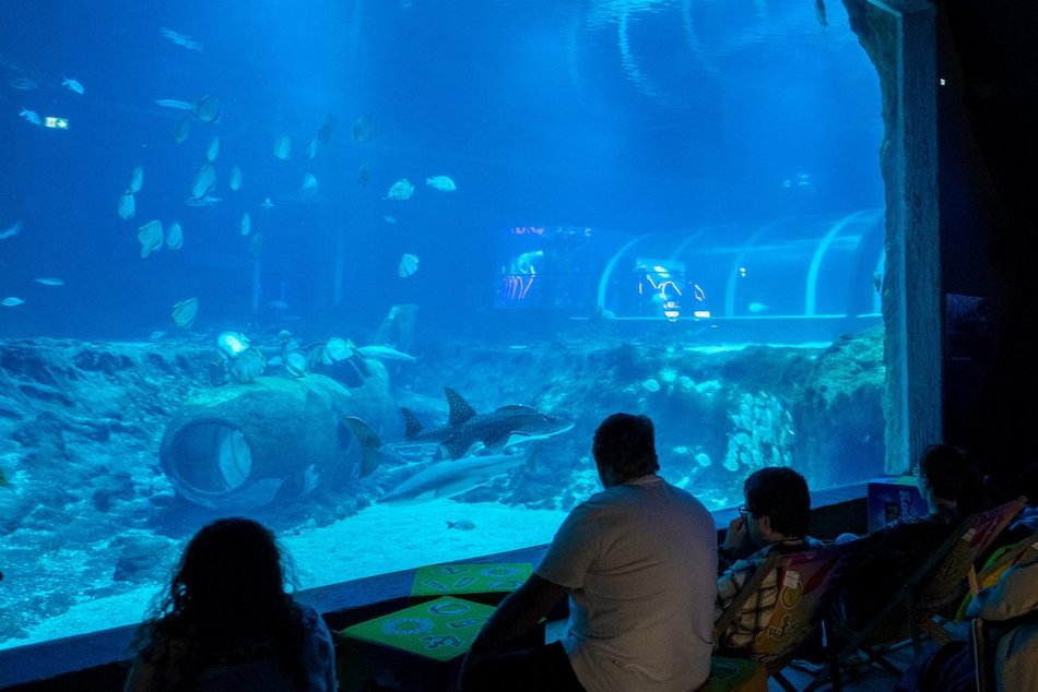 Łódź. Wielkanocny zając w Orientarium Zoo Łódź