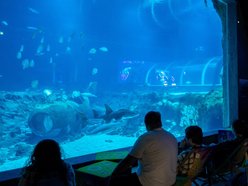 Łódź. Wielkanocny zając w Orientarium Zoo Łódź