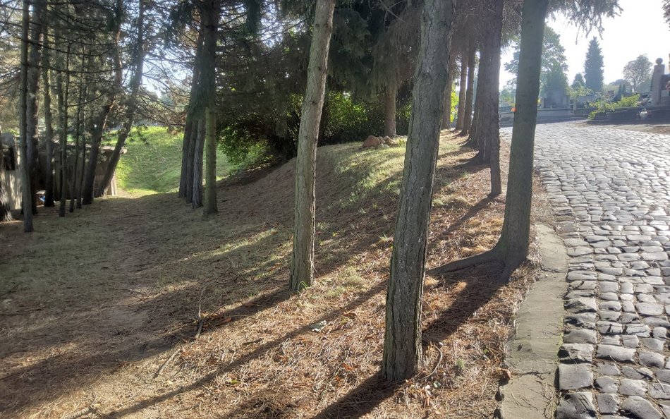 To zagłębienie w terenie to koryto dawnego dopływu Łódki.