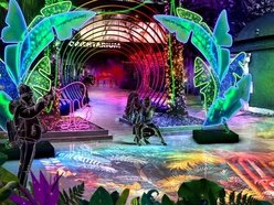 Park Miliona Świateł znów w Łodzi! Nowe atrakcje, przedsprzedaż biletów i parking za 5 złotych!