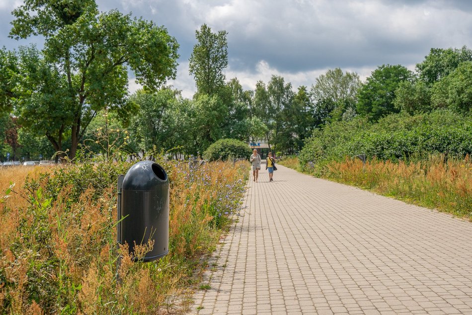 50 nowych koszy na psie odchody w Łodzi. Pojawią się na często uczęszczanych skwerach