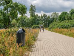 50 nowych koszy na psie odchody w Łodzi. Pojawią się na często uczęszczanych skwerach