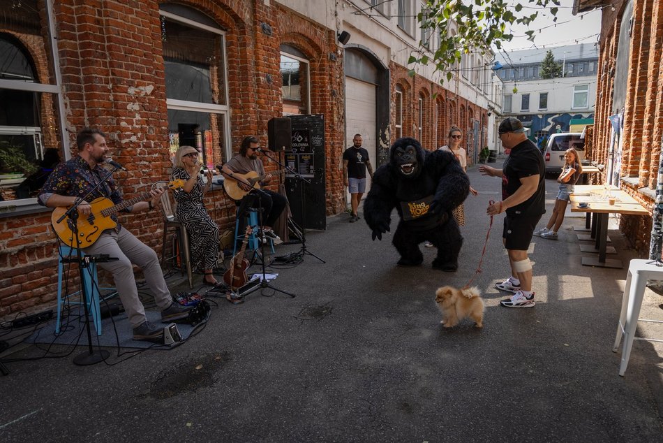 Łódź. Gastro dla schroniska w Łodzi. Tak się łączy miłość do jedzenia, muzyki i zwierząt!