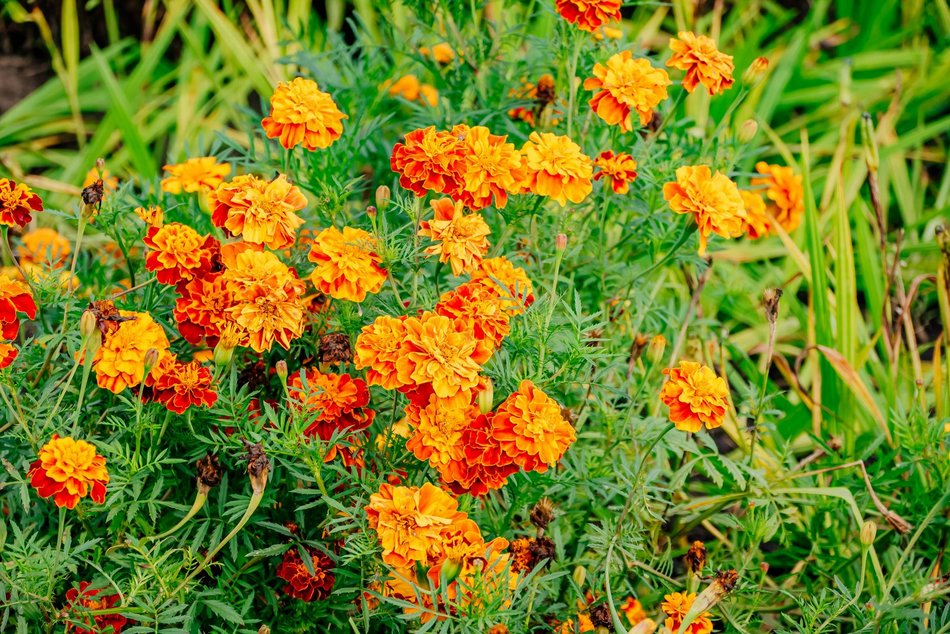 Łódź. Jesień w Ogrodzie Botanicznym w Łodzi. Tam z pewnością pokochasz tę porę roku!