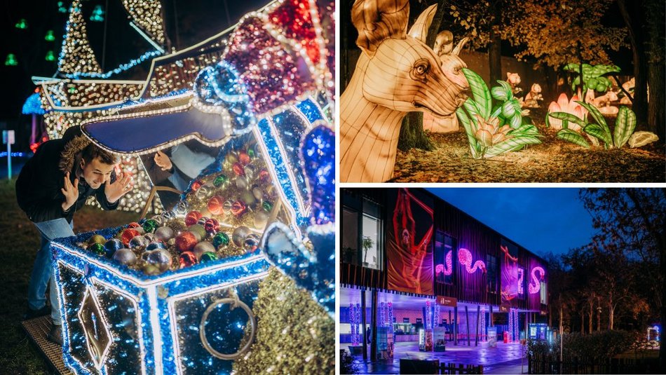 Park Miliona Świateł w Łodzi otwarty! Magiczne zwierzęta opanowały Orientarium Zoo Łódź