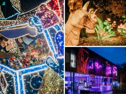 Park Miliona Świateł w Łodzi otwarty! Magiczne zwierzęta opanowały Orientarium Zoo Łódź