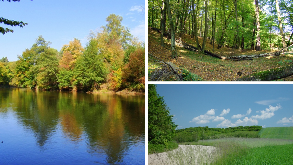 Łódź. Parki Krajobrazowe w Łódzkiem. Czy wiedziałeś, że jest ich aż 7?