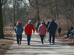 Tłumy w Parku Julianowskim w Łodzi