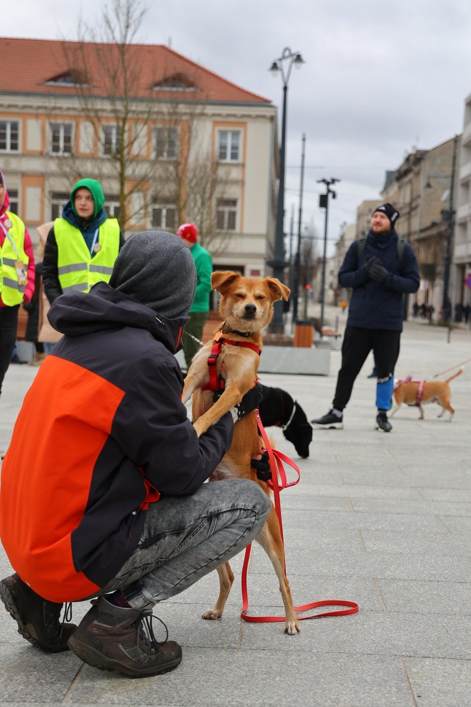 Parada Kundelków w Łodzi