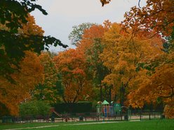 Łódź. Jesienne kadry z parków
