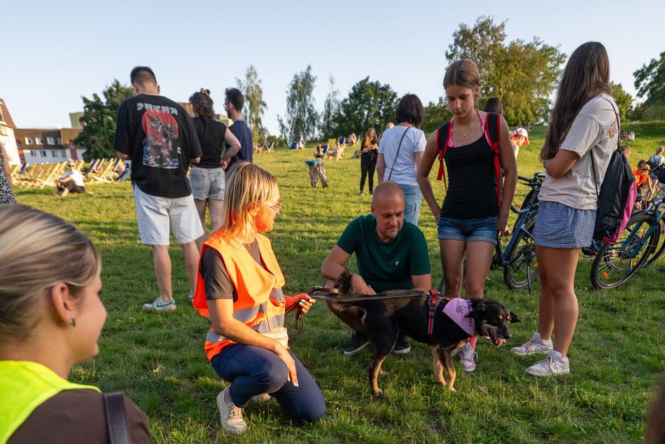 Łódź. Psia Polówka na Widzewskiej Górce. Psiaki przejęły dowodzenie!