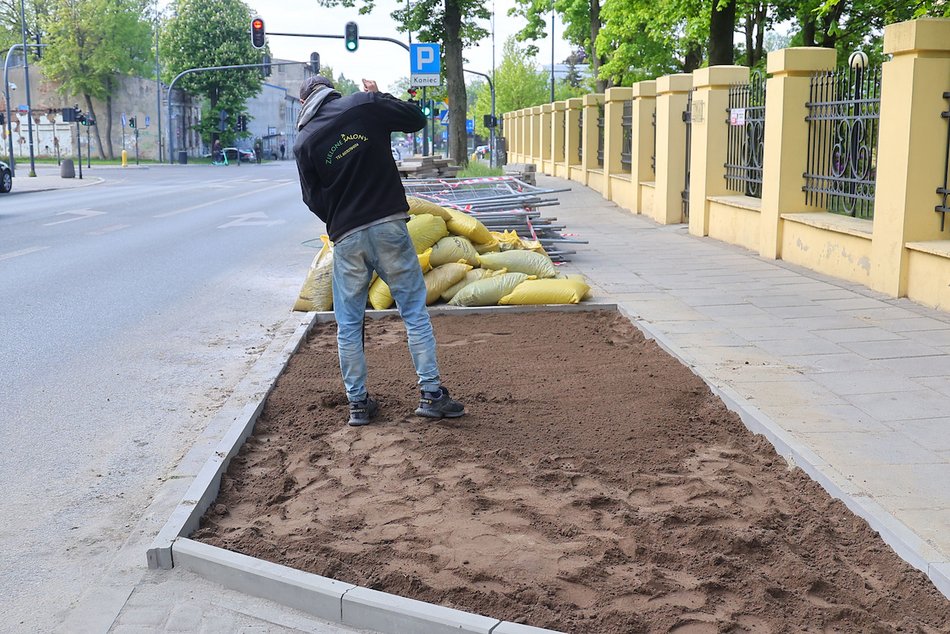 Łódź. Więcej zieleni w centrum! Zamiast betonu będą kolorowe byliny, krzewy i piękne rabaty