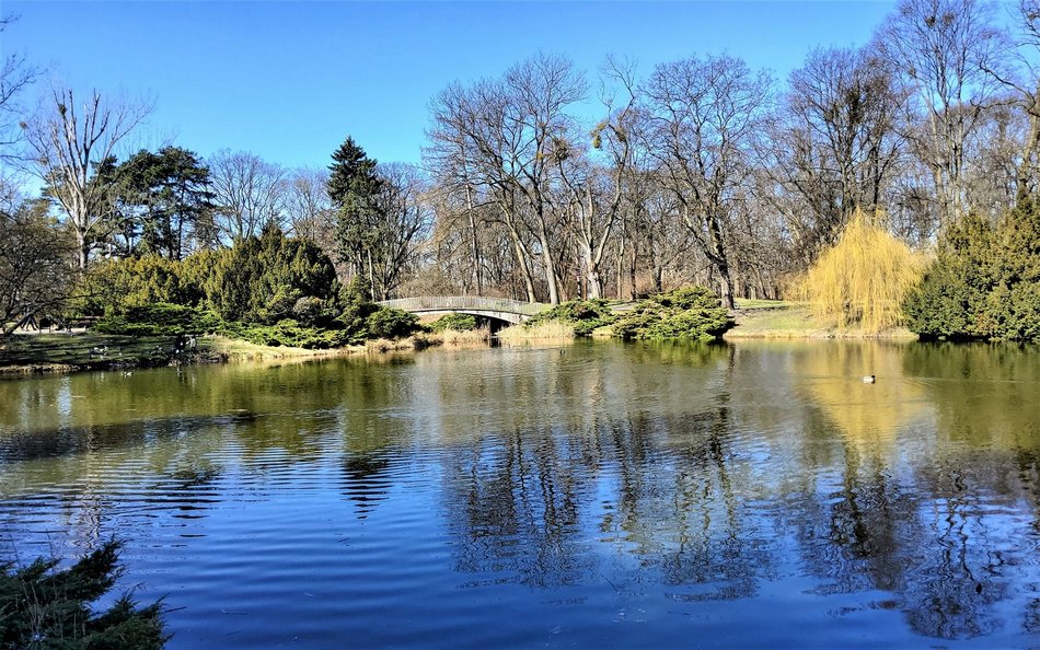 Źródła Wólki biły na terenie obecnego Parku Poniatowskiego