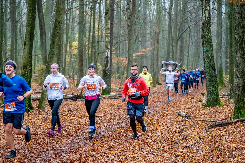 Cookie Run w Lesie Łagiewnickim w Łodzi