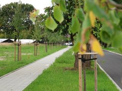 Łódź. Stoki i Sikawa w Łodzi. Ulice po remoncie