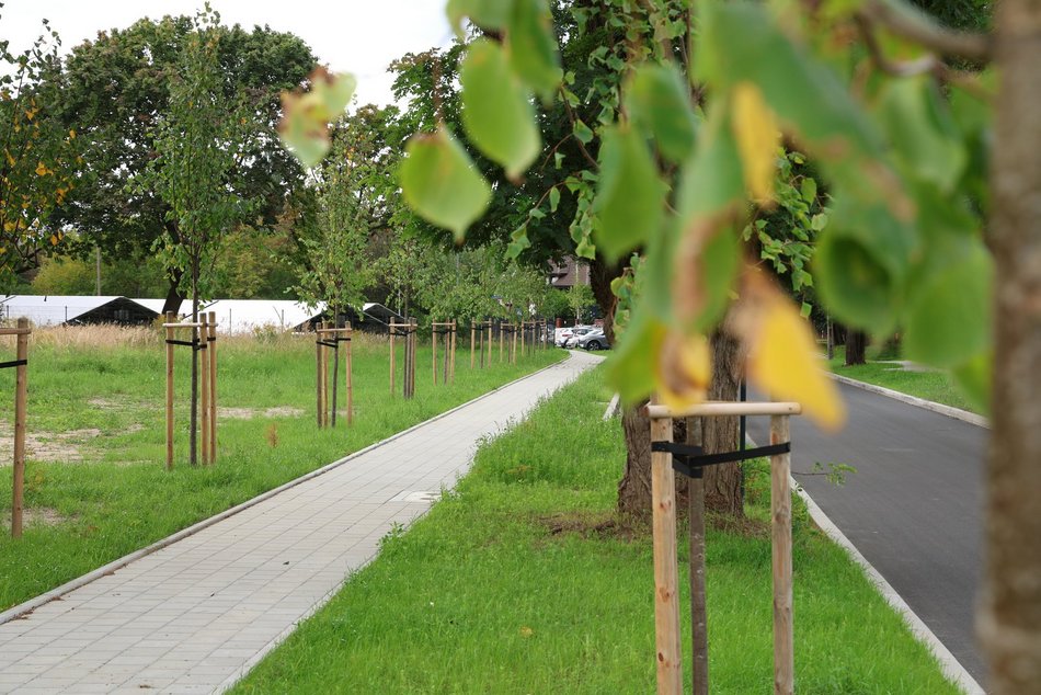 Łódź. Stoki i Sikawa w Łodzi. Ulice po remoncie