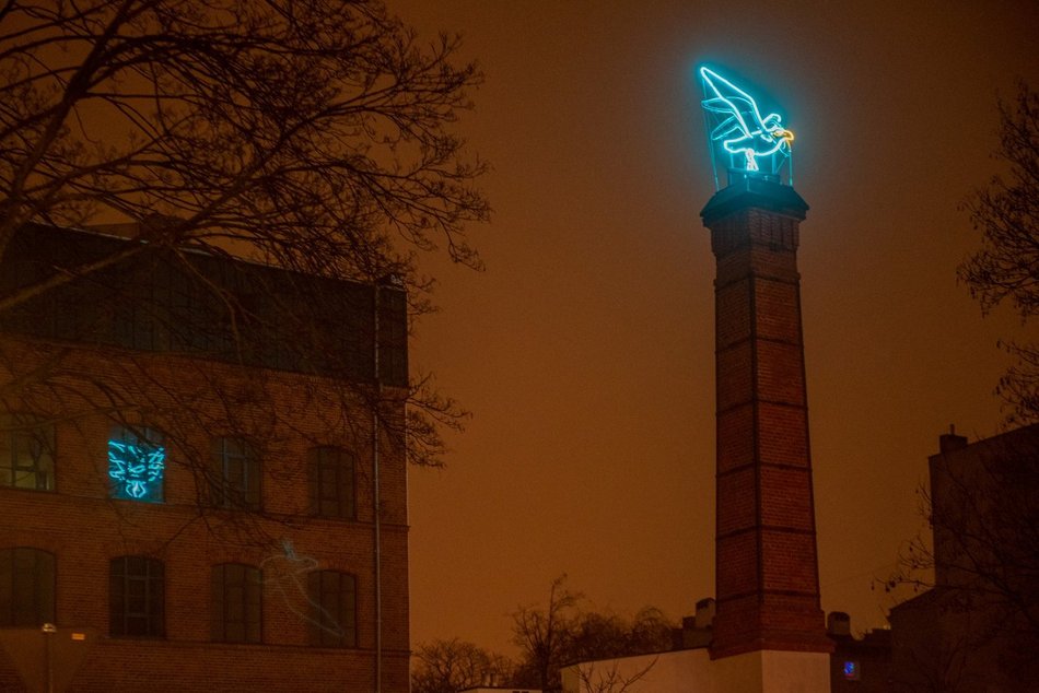 Łódź. Neon mewa 