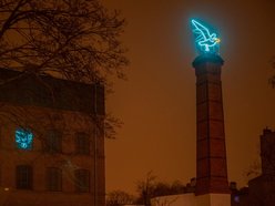 Łódź. Neon mewa 