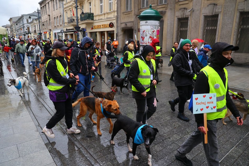 Parada kundelków w Łodzi 2025 przeszła ulicami. Skala słodyczy wysoka jak nigdy!