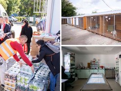 Łódź. Wielkie zmiany w schronisku w Łodzi w 2025 roku. Remonty, rozwój infrastruktury i rekord wolontariuszy