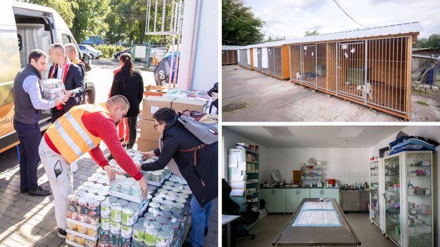 Wielkie zmiany w schronisku w Łodzi w 2025 roku. Remonty, rozwój infrastruktury i rekord wolontariuszy