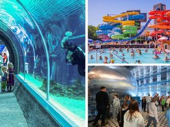 Za darmo z Kartą Łodzianina do Orientarium Zoo Łódź, Aquaparku Fala i EC1 Łódź