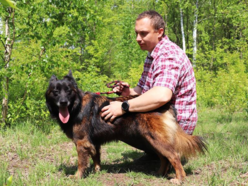 Z kanapy za kraty. Oddana Remi czeka na nową rodzinę po śmierci właściciela