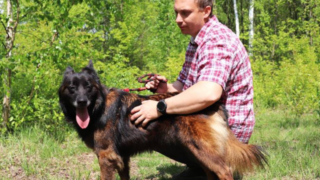 Z kanapy za kraty. Oddana Remi czeka na nową rodzinę po śmierci właściciela [ZDJĘCIA]