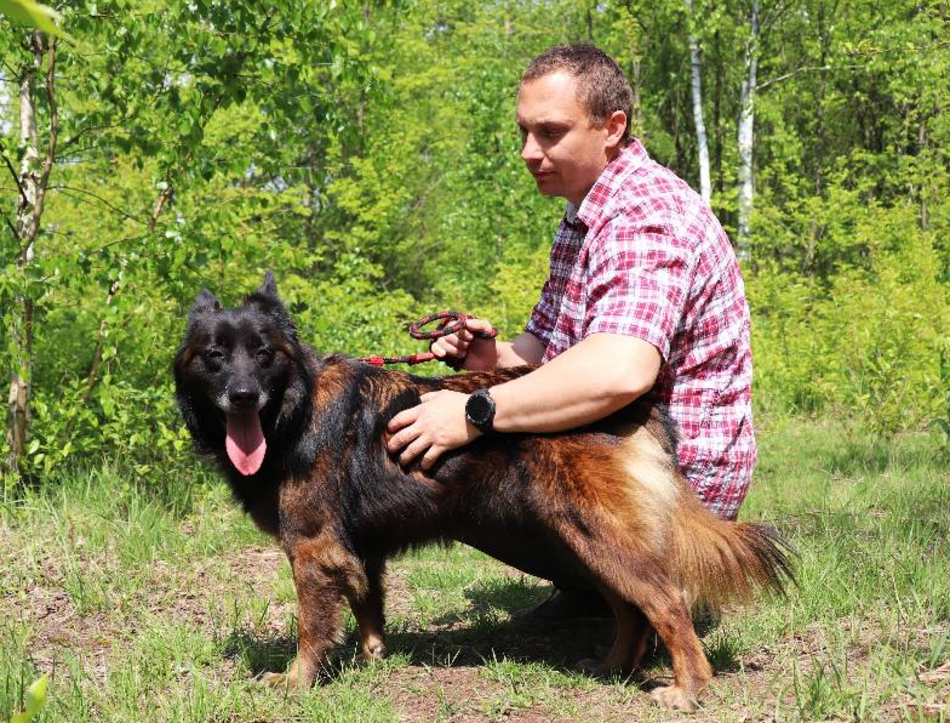 Z kanapy za kraty. Oddana Remi czeka na nową rodzinę po śmierci właściciela