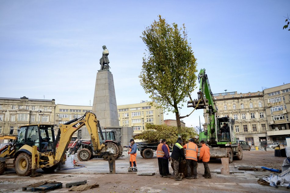 Plac Wolności coraz bardziej zielony