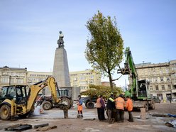 Plac Wolności coraz bardziej zielony