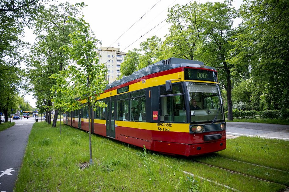 Łódź. Ponad 30 kilometrów najbardziej zielonych torowisk w Polsce? Oczywiście w Łodzi!