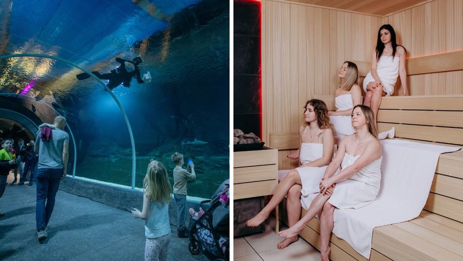 Łódź.Wyjątkowa akcja z okazji Dnia Matki. Orientarium Zoo Łódź i Aquapark Fala łączą siły! 