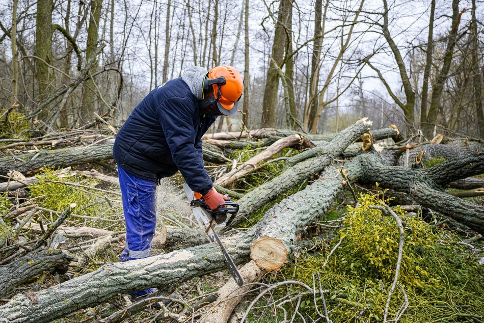 Łódź. MOSiR Łódź gotowy na wiosnę. Aktywny wypoczynek, pikniki i atrakcje dla dzieci