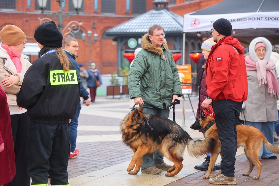 Łódź. Moc atrakcji w Manufakturze na WOŚP 2026 w Łodzi! Wikingowie, strażacy, pokazy i więcej