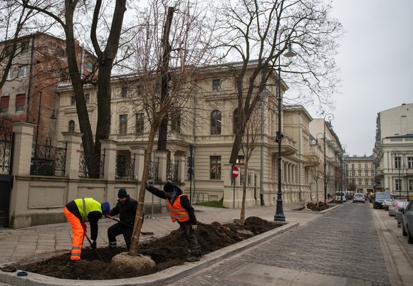 Moniuszki - sadzenie drzew