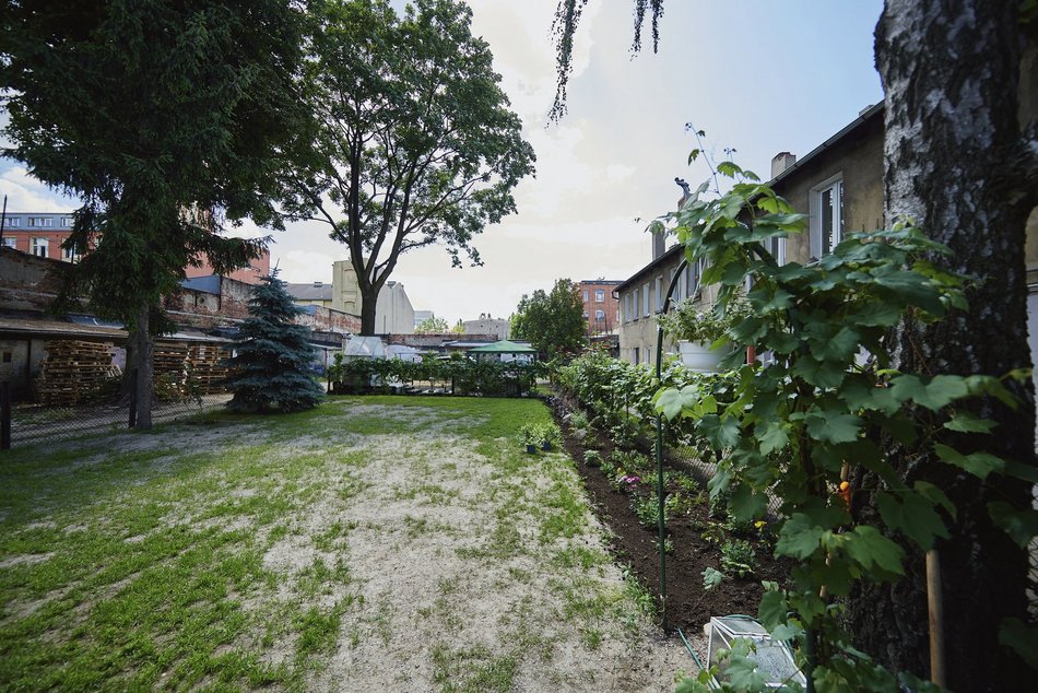 Ogród społeczny w Łodzi