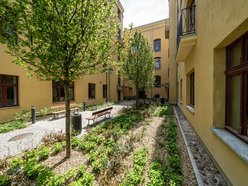 Woonerf i pasaże przy Mielczarskiego pełne zieleni