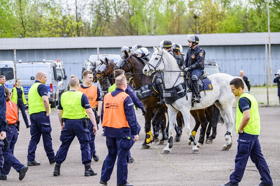 Łódź. Zwierzęta Straży Miejskiej na szkoleniu