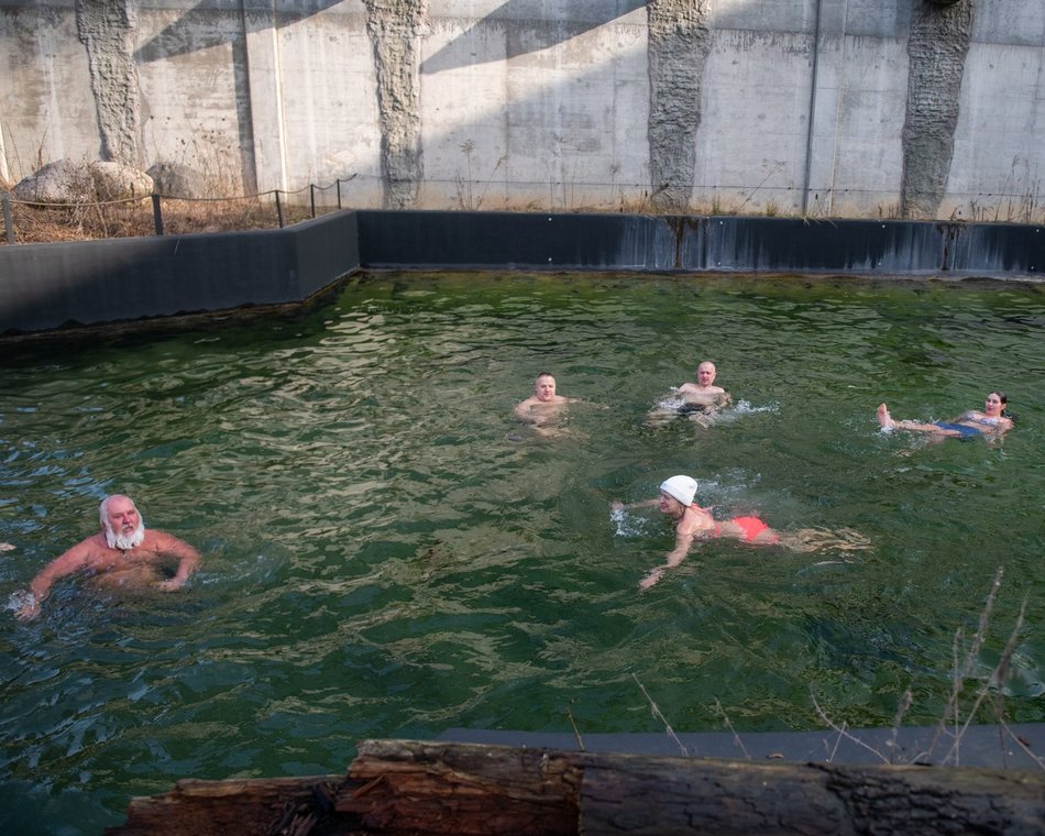 Łódź. Morsowanie w basenie dla słoni