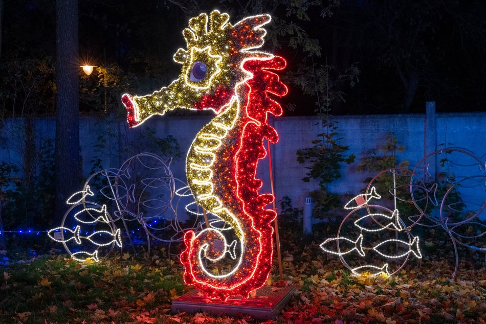 Park Miliona Świateł w Łodzi otwarty! Magiczne zwierzęta opanowały Orientarium Zoo Łódź