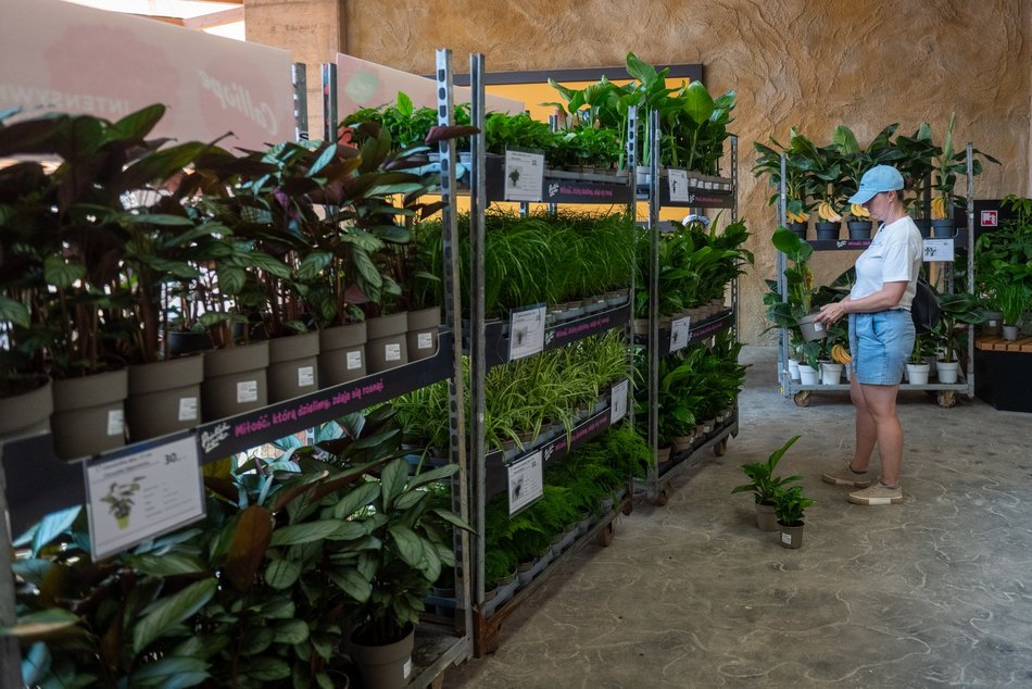 Łódź. Zielona Feta w Orientarium Zoo Łódź. Moc atrakcji na długi weekend