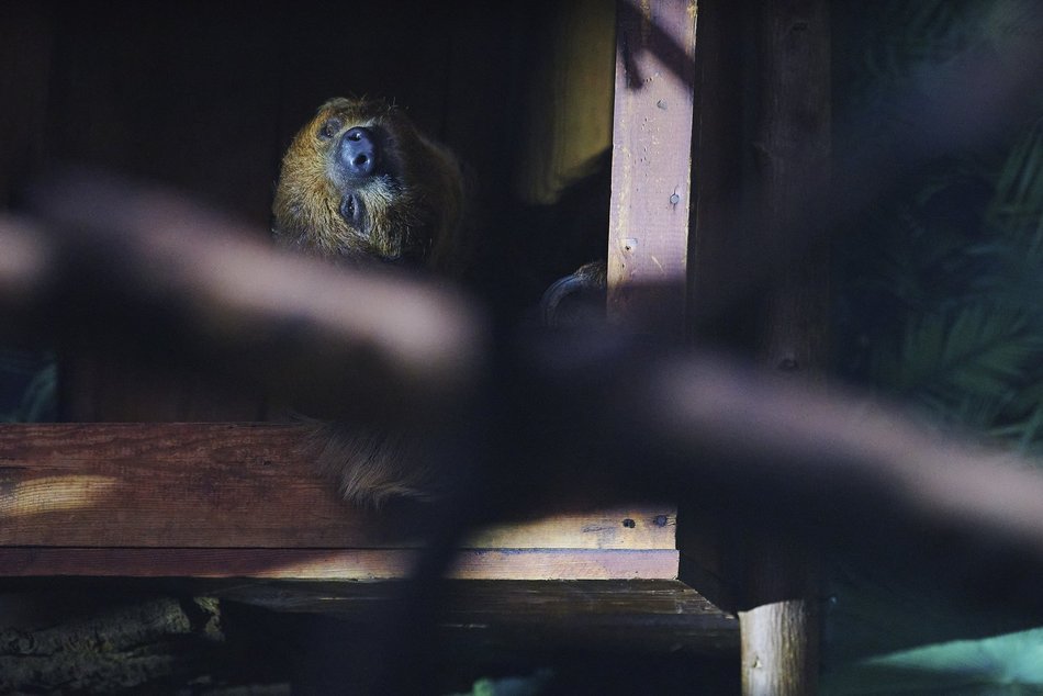 Noc Muzeów Łódź 2026 w Orientarium Zoo Łódź